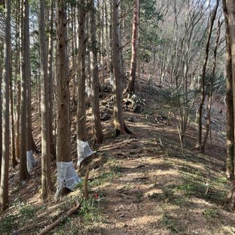 毘沙門山出前
若干急登。。
少し直登し左にトラバースします。
ロープがあるので、この時期落ち葉で滑り易いが、安全にのぼれます。
