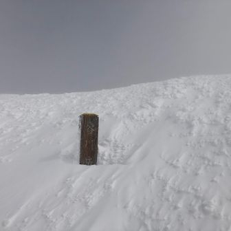 オキの耳に到着