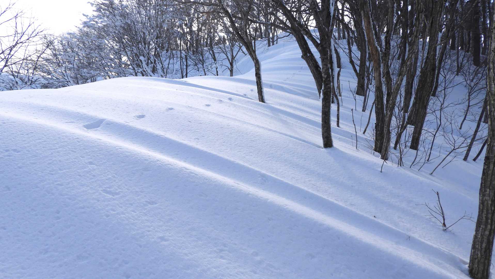 たまらんなー