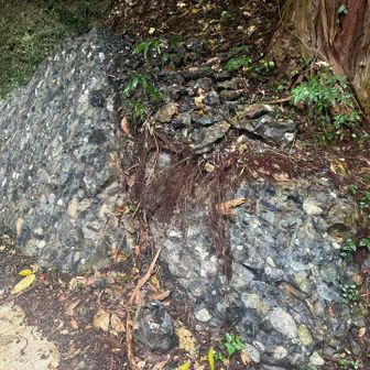 小富士山降りた場所のさざれ石