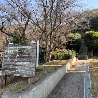 いつもとは逆から登ります