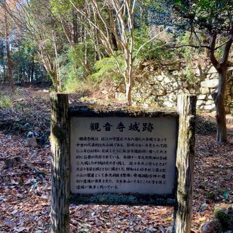 100名城の観音寺城🏯