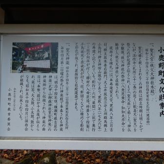 秩父大神社の説明
DC-TZ95