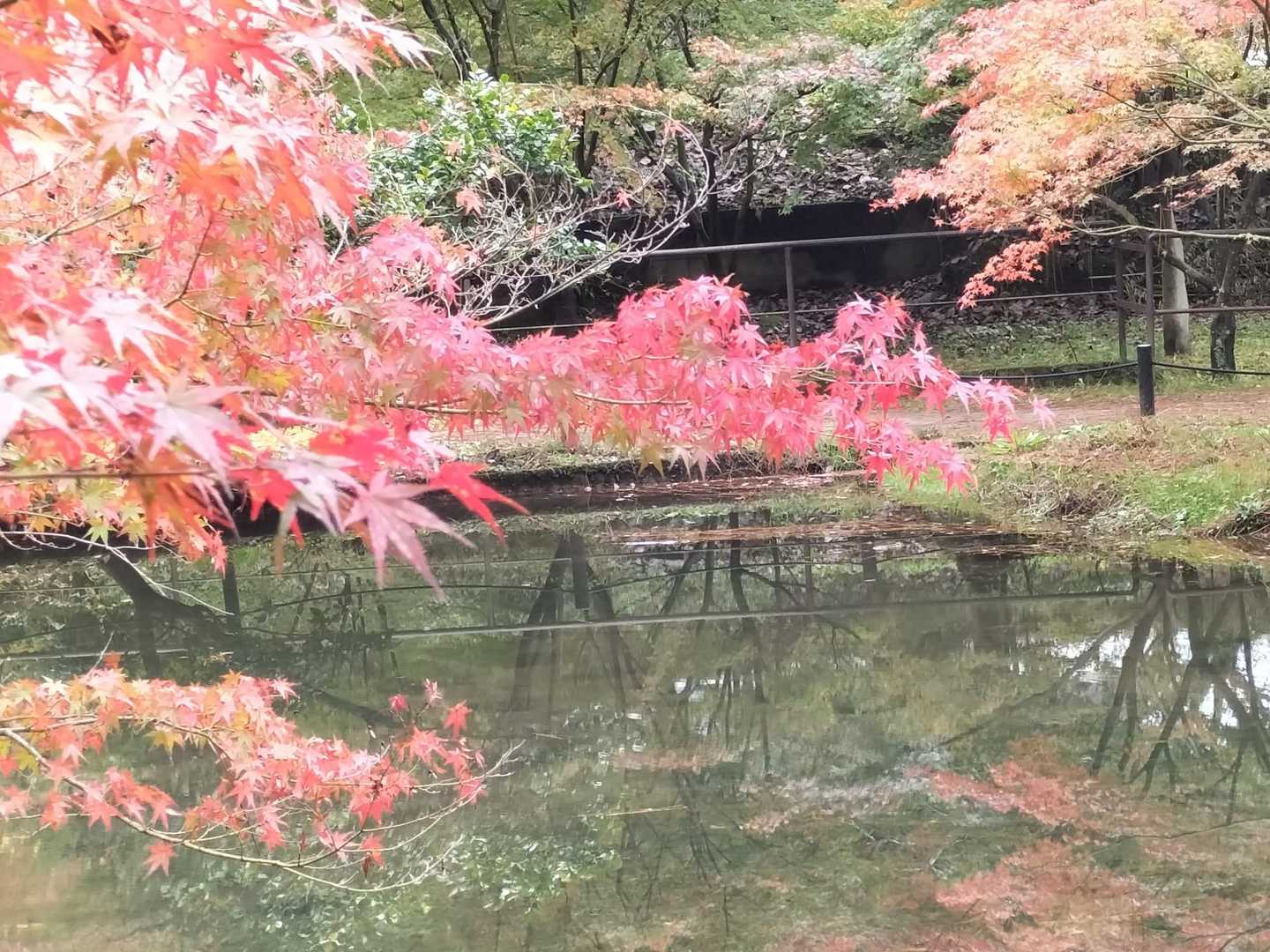 曽良山登山口-曽良山 周回コースの写真