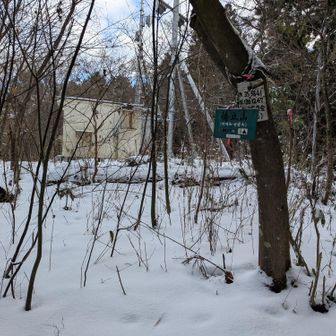 【橋立山】山頂