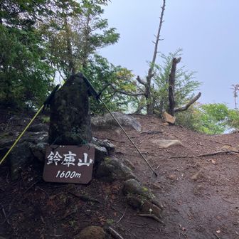 なにも見えず。