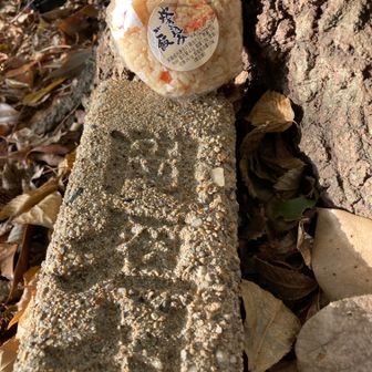 めし盛山で軽くメシ🍙