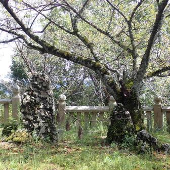 箆取神社に到着
夫婦岩