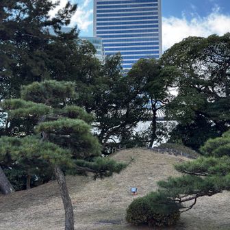 ピークっぽいから
とりあえず歩く