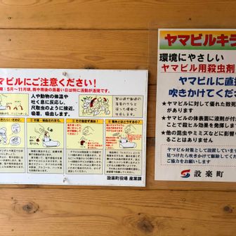 とりあえず来年の目標は❓
ヒルに会わないことかな🐛

って！チキン野郎なTでした🖐️
ギャハハハハハハハ🤣🤣🤣