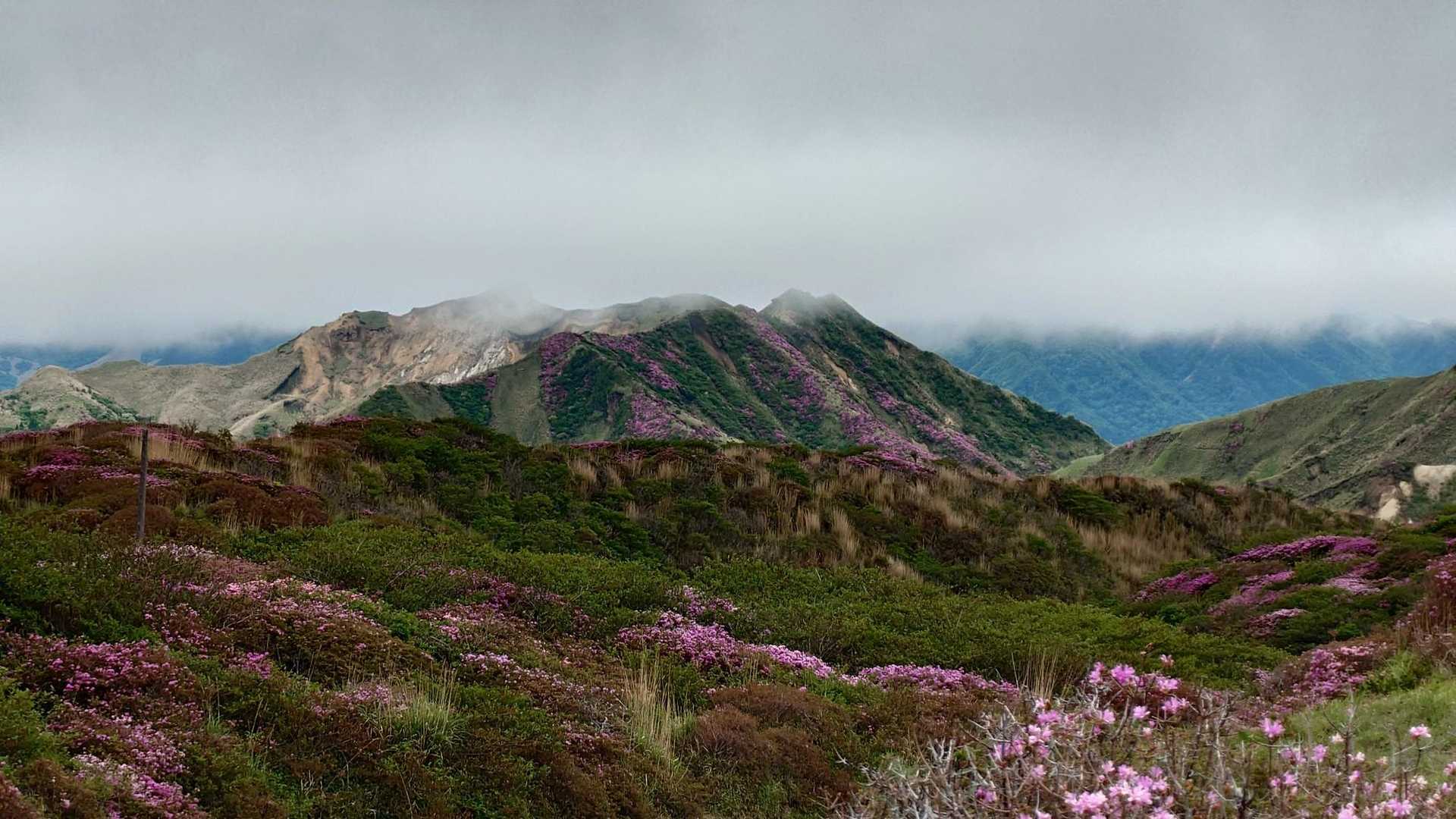 御竃門山もピンク🌸