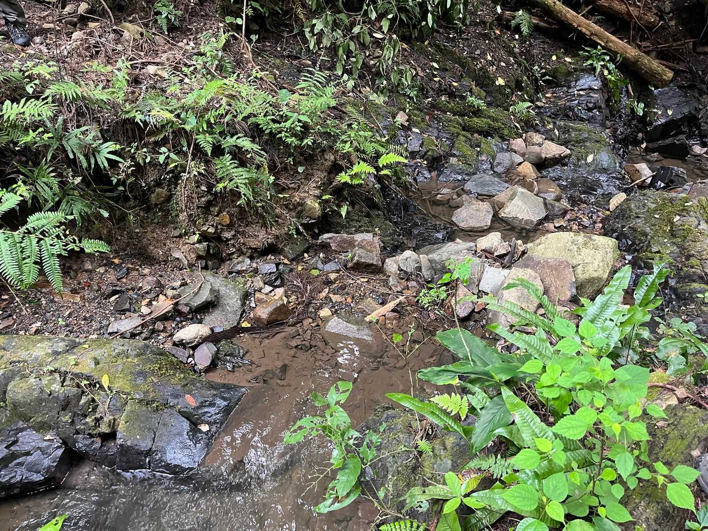 鞍手登山口-妙見山登山口-妙見山-六ヶ岳 周回コースの写真
