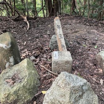 ちょっと寄り道、てんこ山山頂
