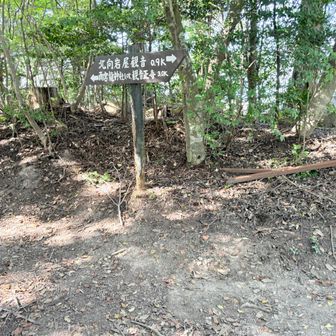 山頂の道標。