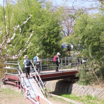 最後に橋を渡って
