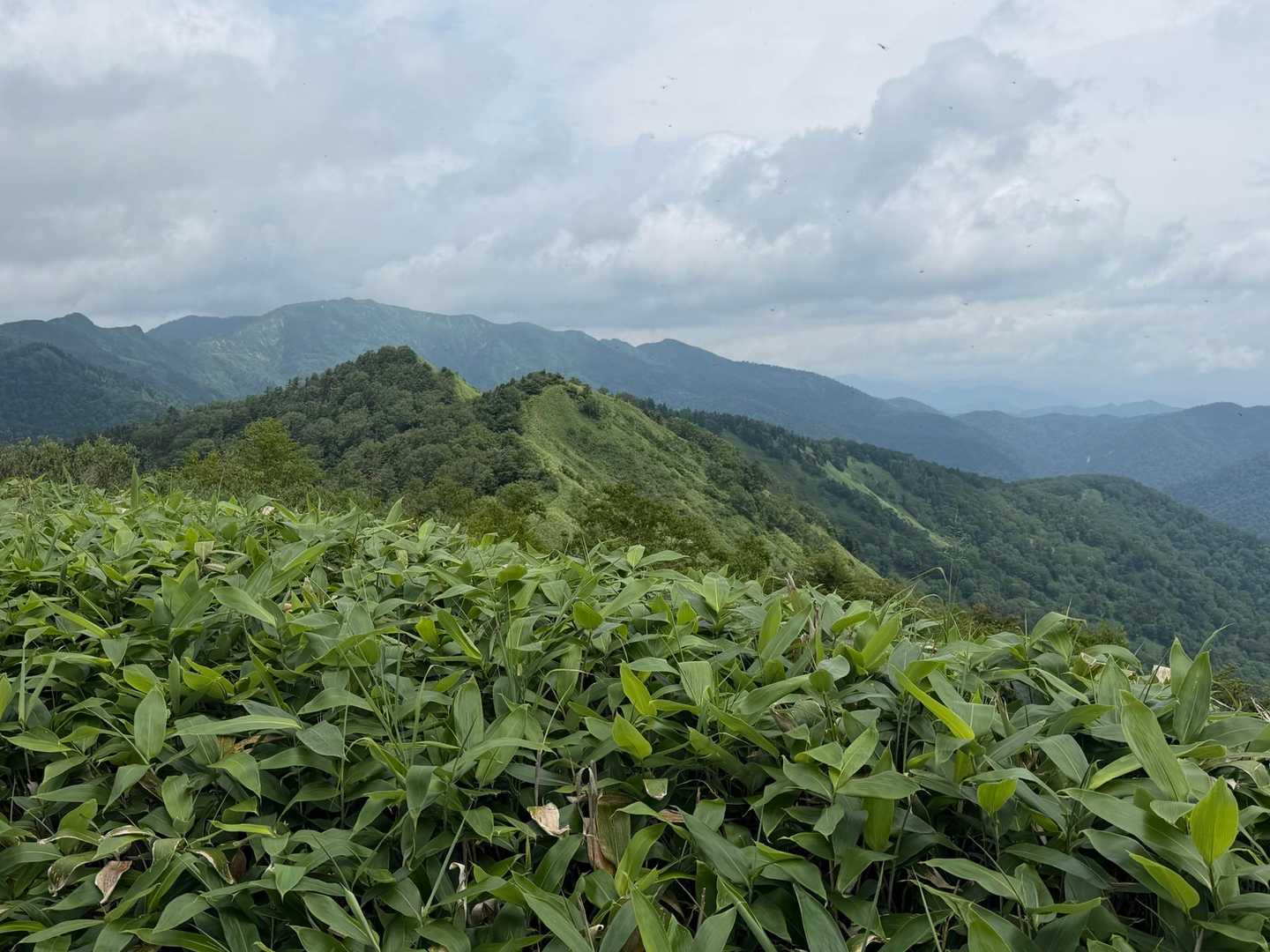 富士見峠-イカイワの頭-八間山 周回コースの写真