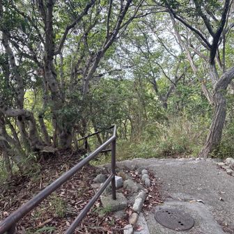 落合山ピークは普通の道のてっぺん。本日のぴーくとり終了