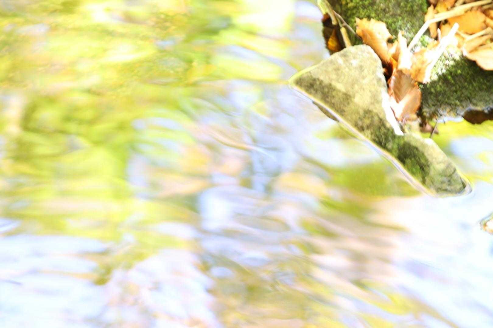 白石スキー場登山口-水引入道 周回コースの写真