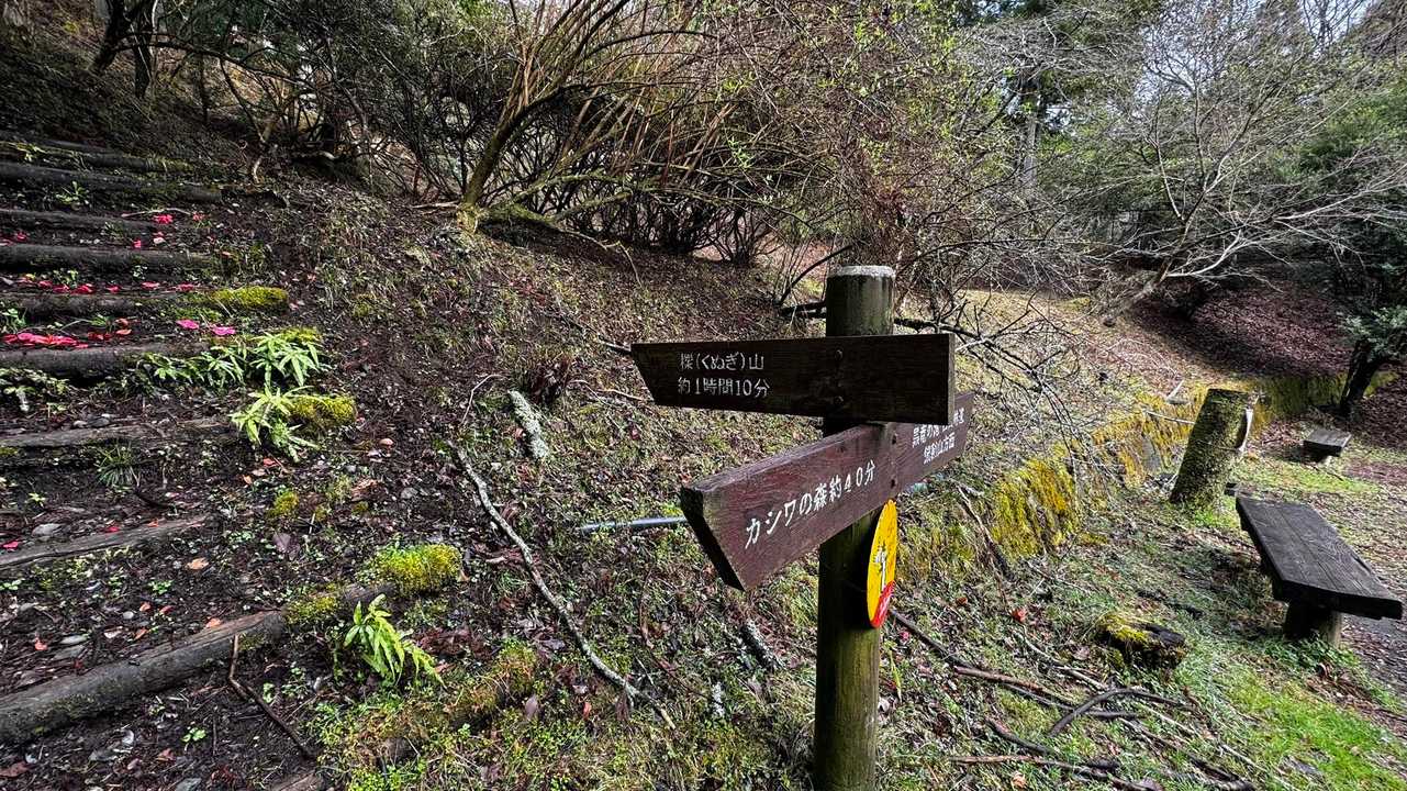 鍋割山・塔ノ岳・烏尾山縦走 の写真 2