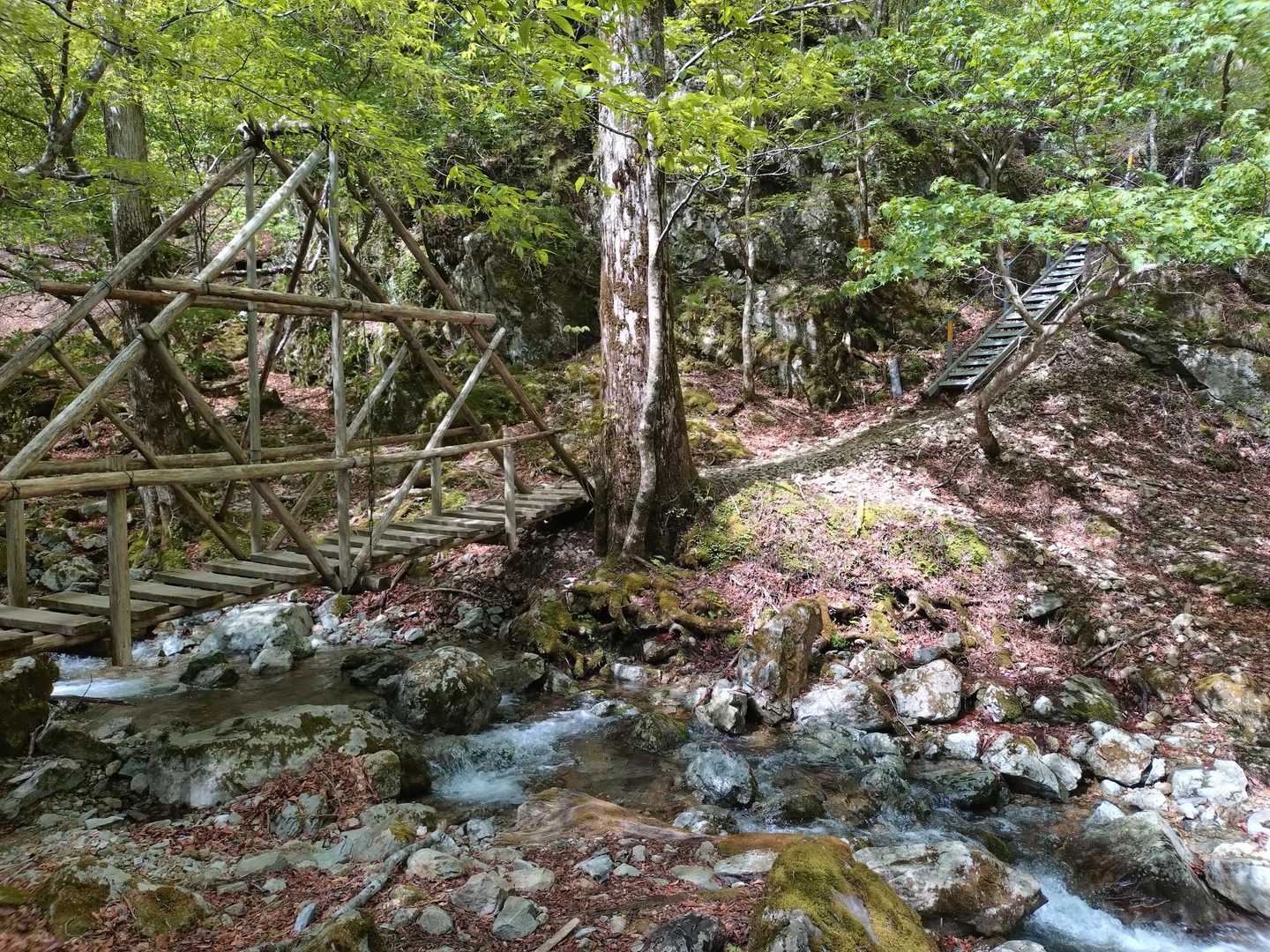弥山登山口-弁天ノ森-聖宝ノ宿跡-弥山-八経ヶ岳-細尾山 往復コースの写真