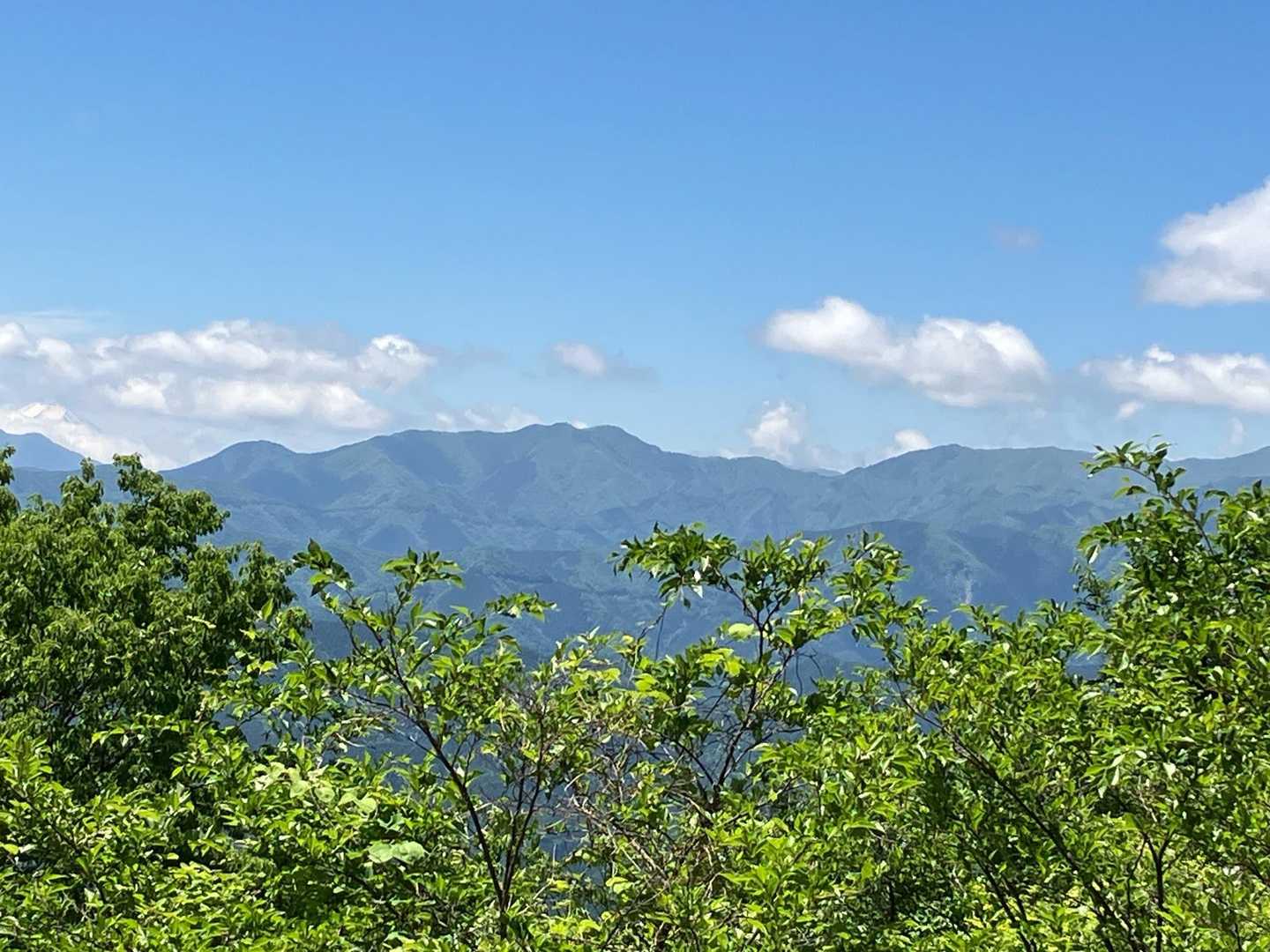 センター川苔山、かな。
カフェオレ飲んで、くつろぐ。
関八州見晴台を十分堪能して、顔振峠へ縦走山歩き開始です。
