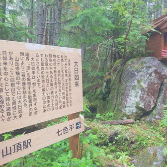 このへんから登山道っぽくなっていく。