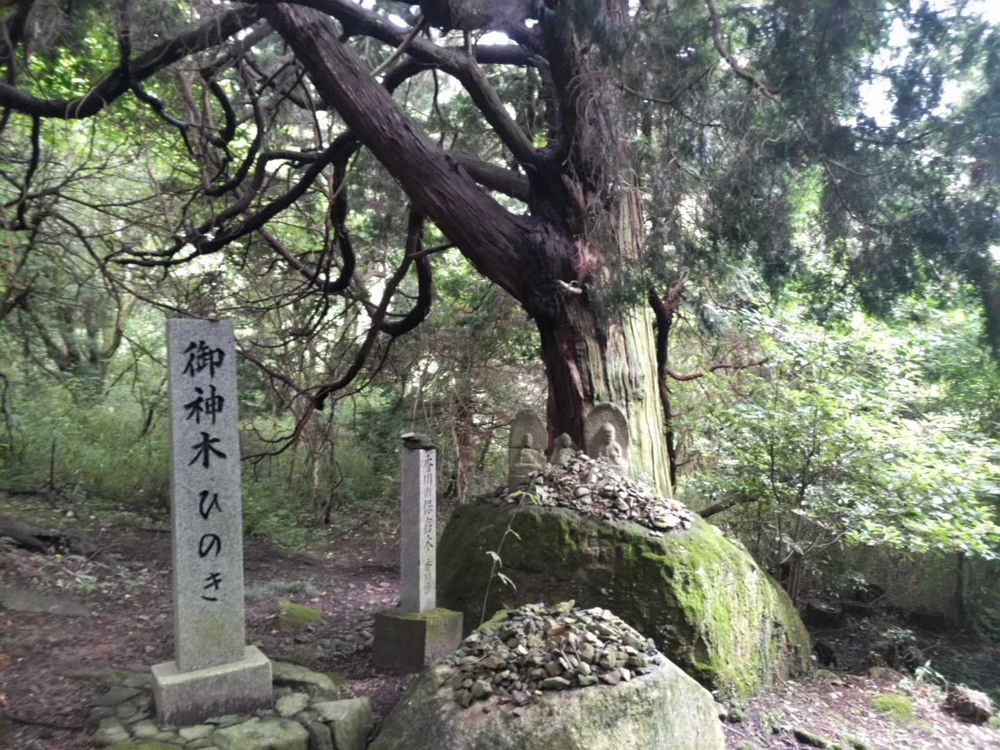 出釈迦寺-奥の院禅定参道口-出釈迦寺奥の院 往復コースの写真