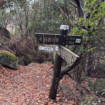 書き換えられた看板🪧