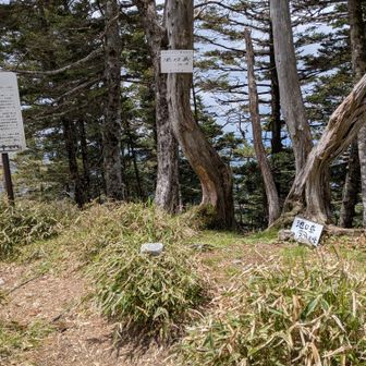 意外に小広い北峰にはスンナリ到着。
先ほどお会いした方に加え先着１名、さらに南峰から戻ってきた方が加わり、本日お会いした方が一堂に北峰山頂に会して期せずして会話が弾む。