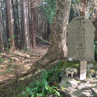 明王様の石碑
(これまで気づいてなくごめんなさい🙏)
