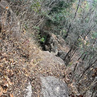 よくこんなとこに道作ったな〜すごい