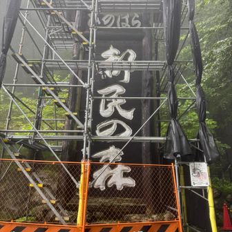バスに揺られること1時間少々。
都民の森の看板が。