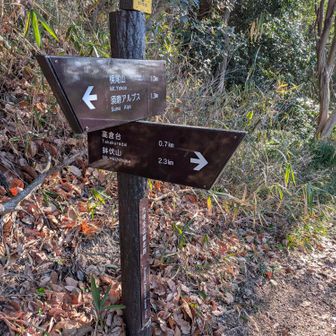 今回はここから初めての
文太郎道を進みます