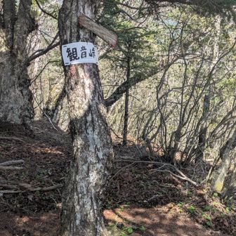 金ヶ岳までのアップダウンが厳しい