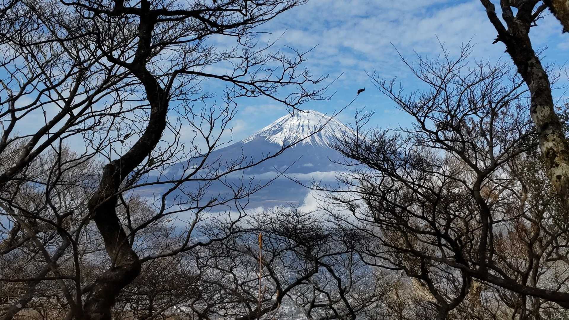 落葉の季節は、富士山が良く見えて👍