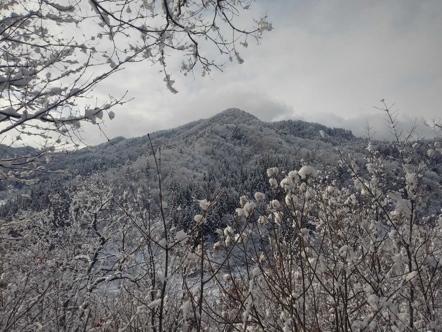額縁に入れたい雪景色😍
