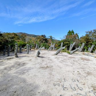 前山の山頂域