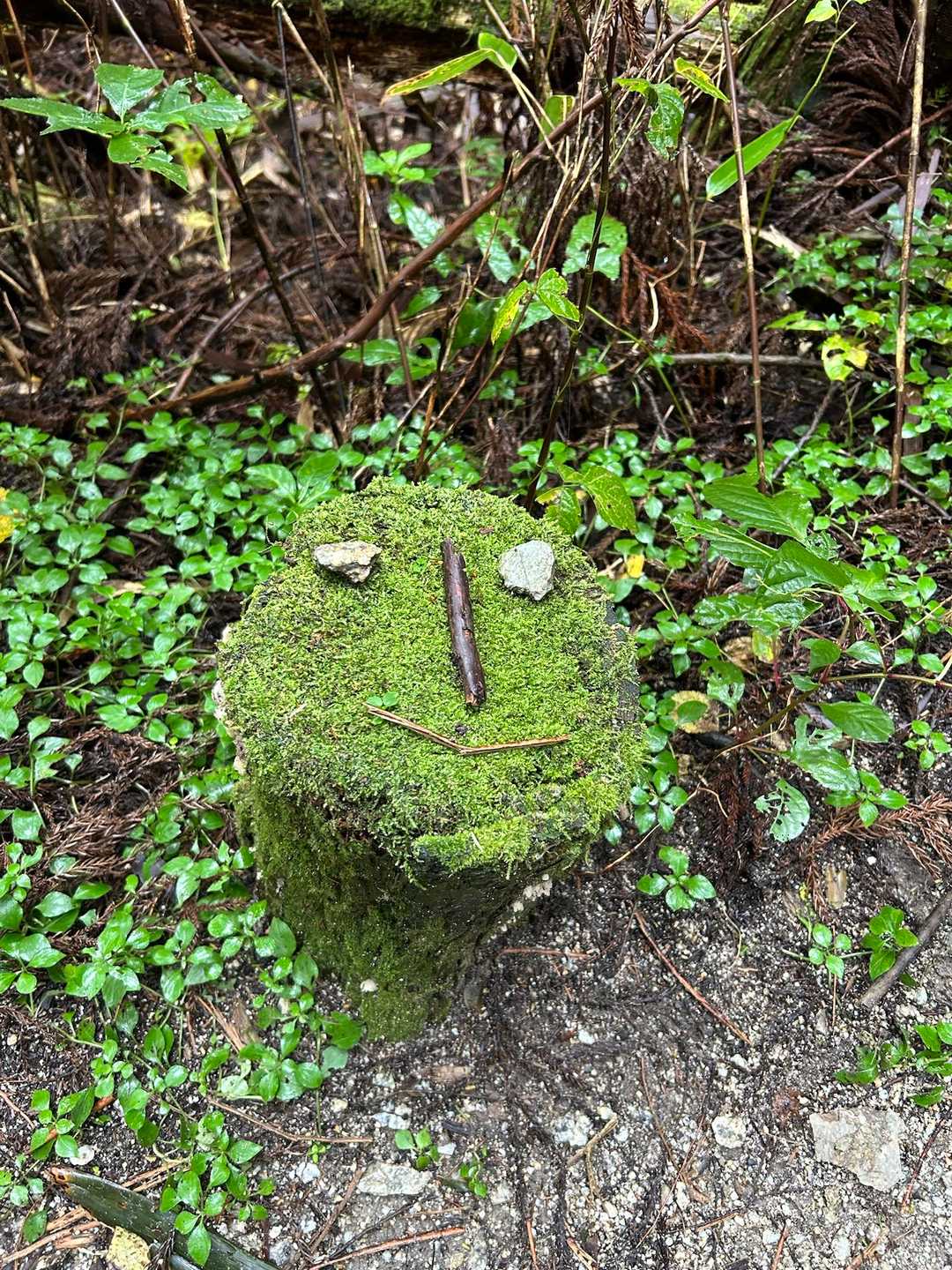 癒されながら歩きます