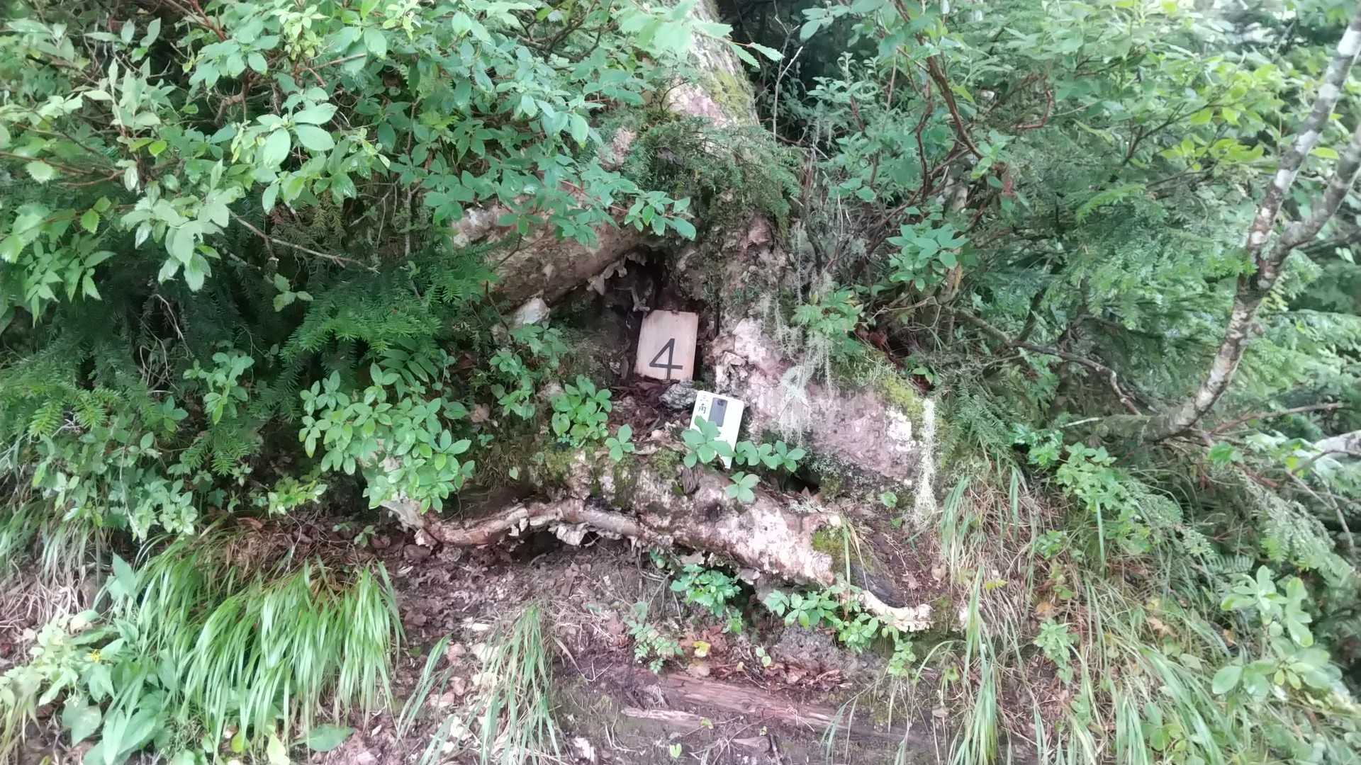 分かりにくいわ💨
4番💦