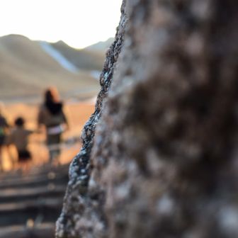 こりひあん⭐️