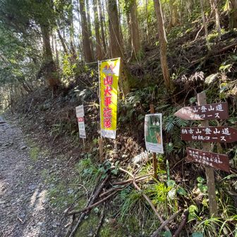 中級コース登山口