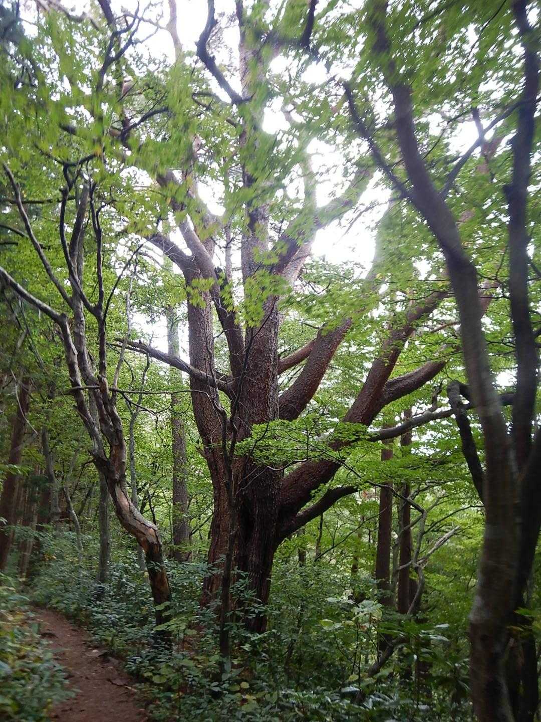 存在感