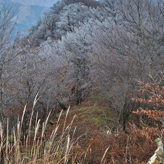山頂　～　剣山方面

贅沢言えませんが、これで青空なら最高❗ですが☺️