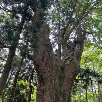 ひろしげスポーツ