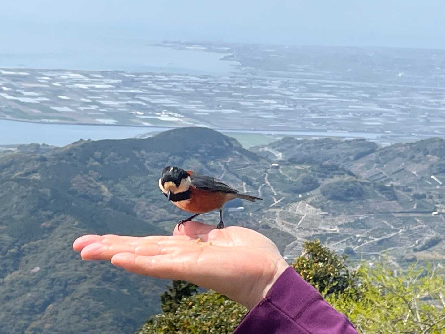 金峰山までヤマガラに会いに…🤗 / ビタミンさんの金峰山・二ノ岳