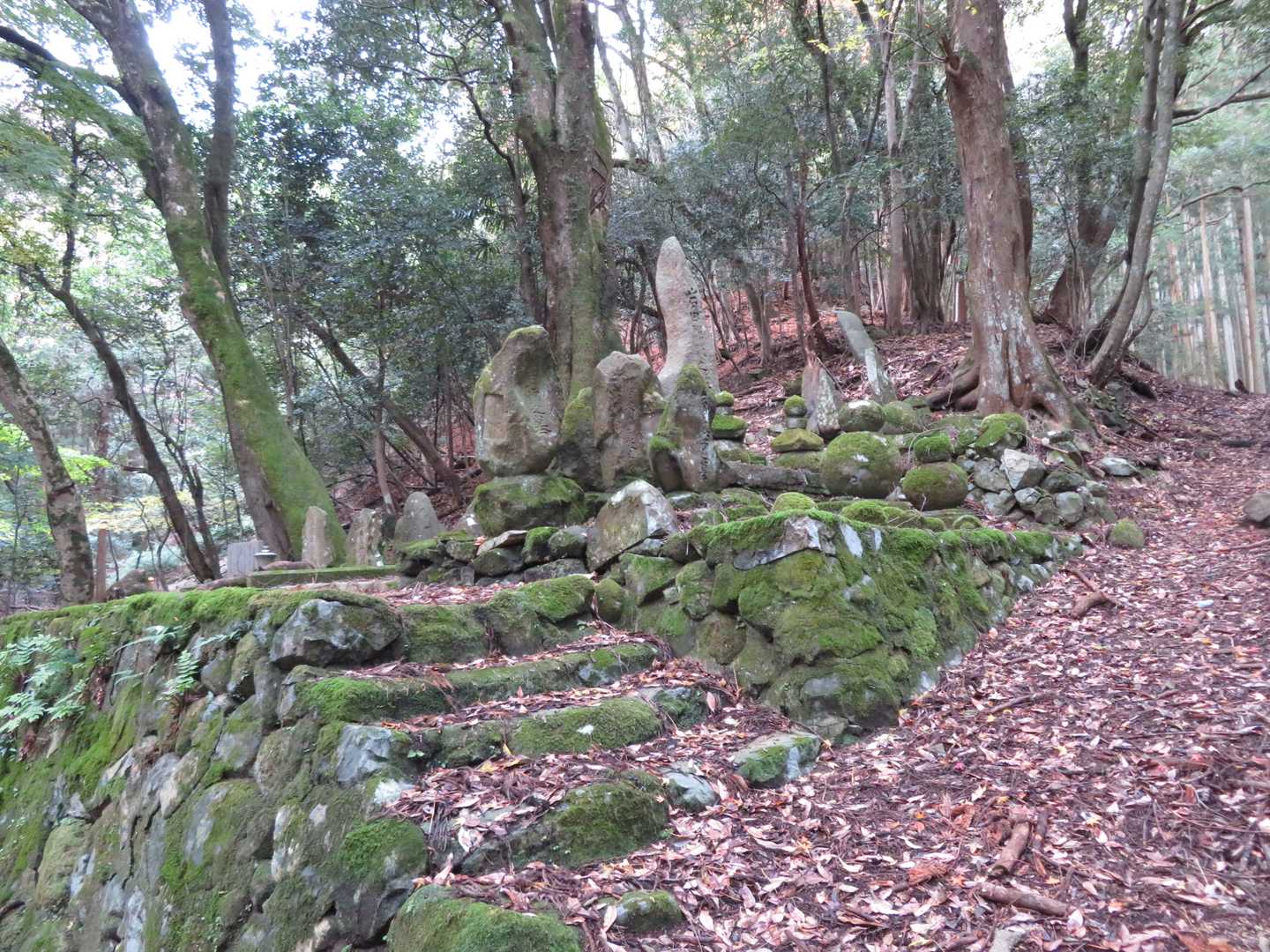登山道ぞに古いお墓
