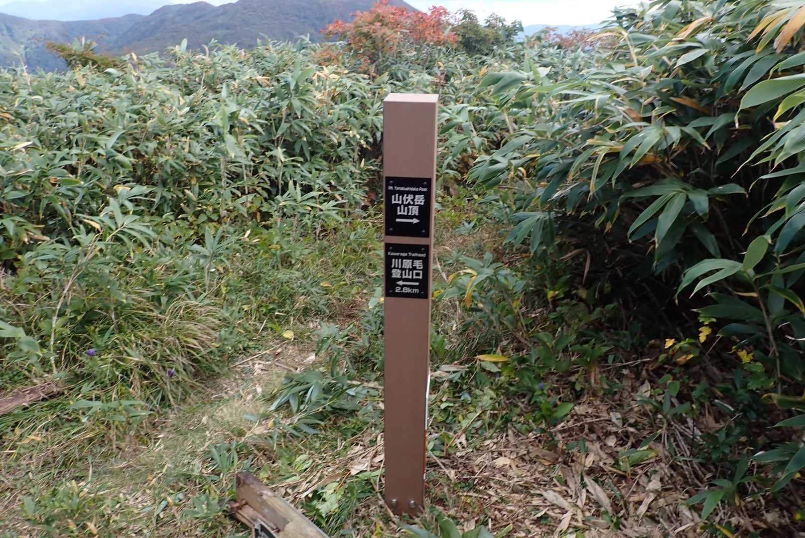 新品の道標。