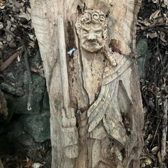 木彫りの不動明王