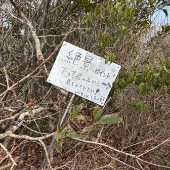 蠑螺ヶ岳の山頂にて。
これは見に行くしかない👀