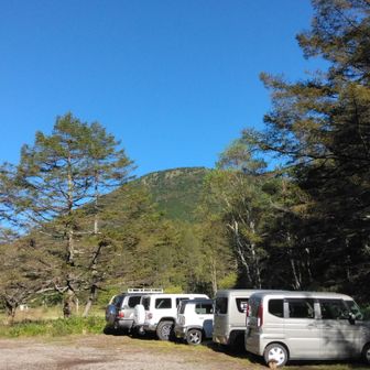 キャンプ場もたくさんの車